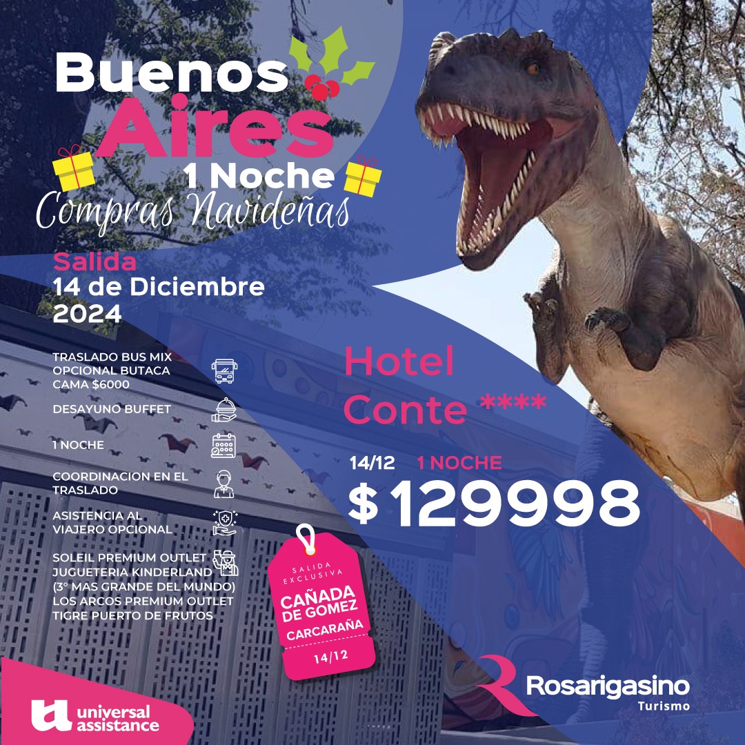 buenos-aires-compras-navidenas-1-noche-12